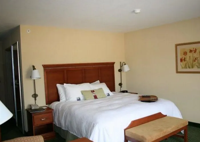 Hotel Hampton & St. Louis - Edwardsville 3*